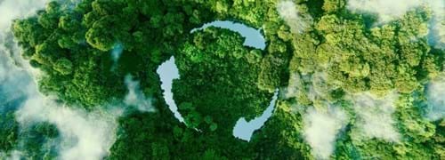 recycling logo watermark in forest